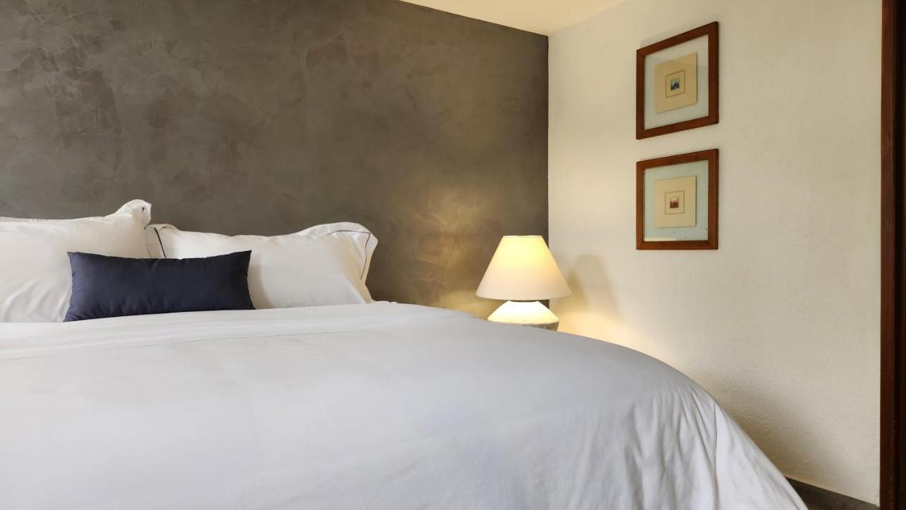 Casa Tamayo Guest house Mexico City